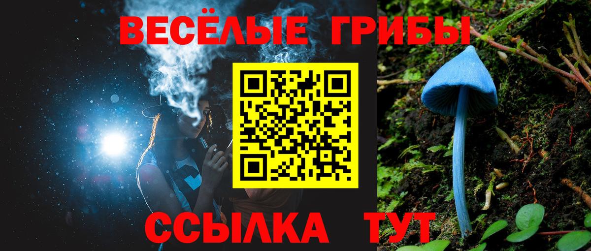 даркнет сайт  Галлюциногенные грибы ЛСД  Вход с VPN  Каменка 