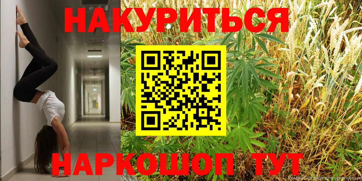 Бошки марихуана планчик  Конопля OG Kush  Каннабис семена  Бошки Шишки VHQ  Вход с VPN  Каменка 